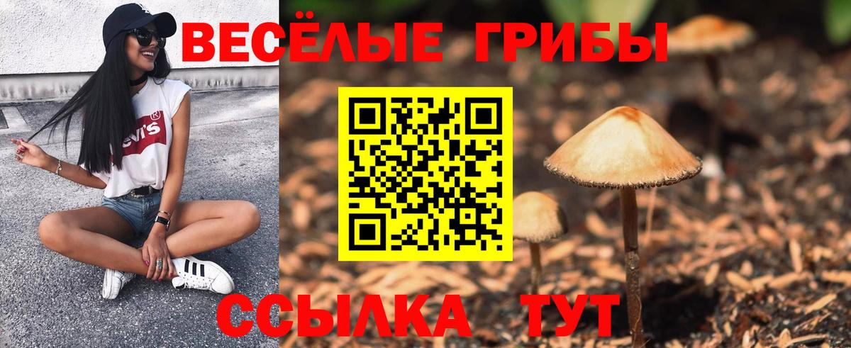 Alpha PVP Курчатов