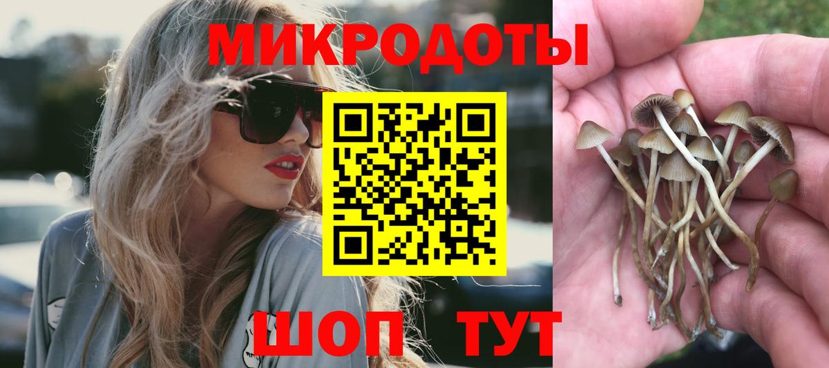 Курчатов  Псилоцибиновые грибы Psilocybe  где купить наркоту  Вход с VPN 