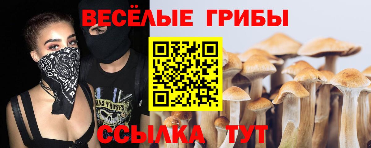Марихуана  Alpha PVP СК   Курчатов  Кокаин  Где купить наркотики?  Меф МЯУ МЯУ   Гашиш  Вход с VPN 